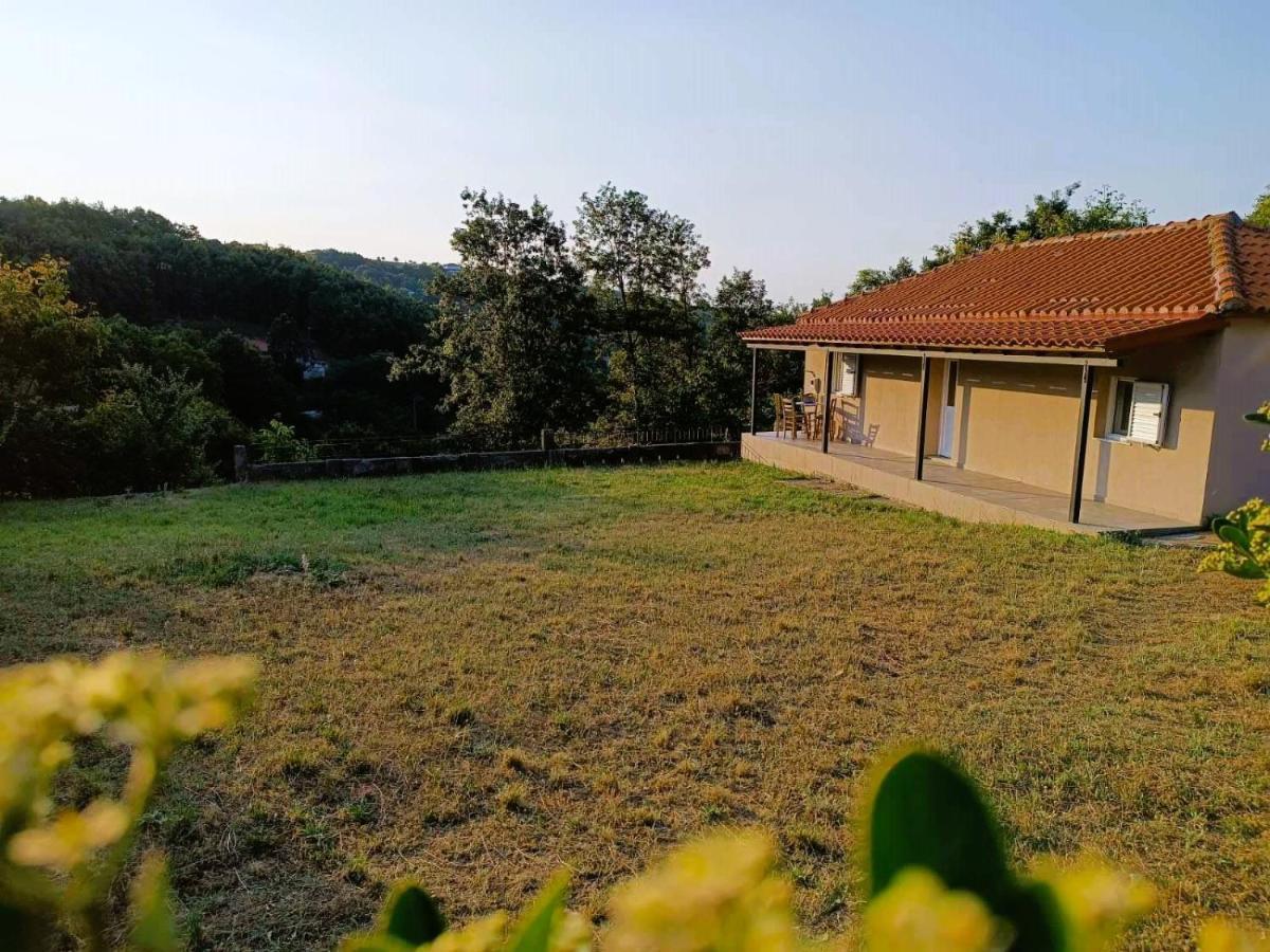 Villa Billy'S House Kalambaka Esterno foto