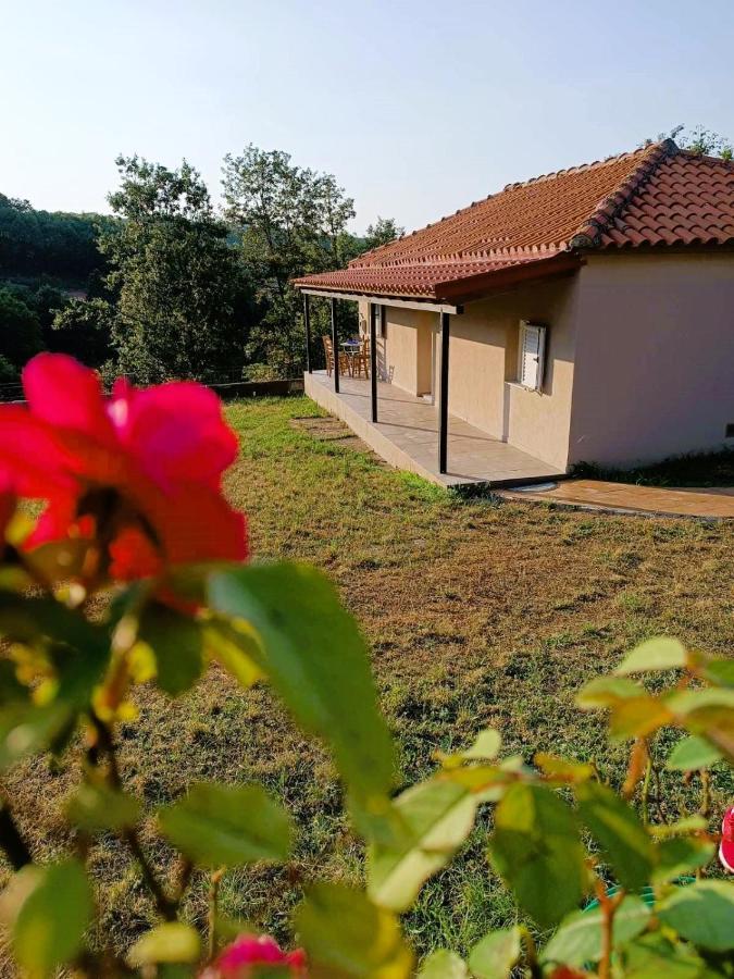 Villa Billy'S House Kalambaka Esterno foto