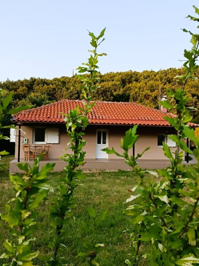 Villa Billy'S House Kalambaka Esterno foto